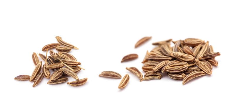 Caraway isolated on white background.