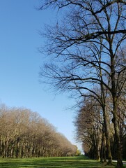 Obraz premium hiking travel and environment tourism in Germany