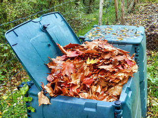 Compost bin full of autumn leaves to provide leaf mulch