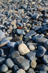 Stones background - closeup of pebbles with selective focus, seen on the famous Pebble Beaches of Nice on the French Riviera, France. 