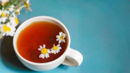 chamomile tea in a white cup on a blue background