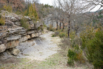 Camino en la montaña de los Pirineos