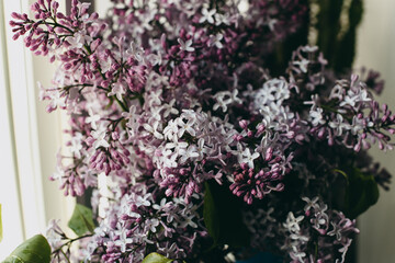 Fresh beautiful bouquet of light purple lilac with dew. Beautiful little flowers by the window.
