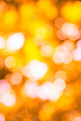 Obraz premium autumn background with sunny rays