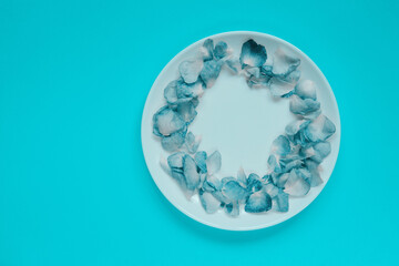 Abstract colorful background. White plate with  blue petals on blue background. Restaurant food service.
