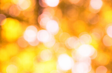 autumn background with sunny rays