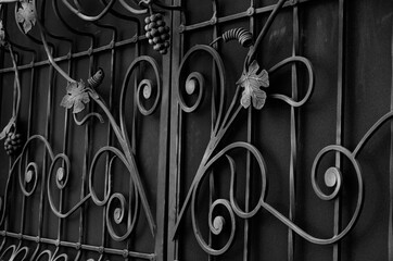 Refined forged decorative elements of a metal fence in black and white colors. Modern facades of fences with forged grape fruits and leaves. The sophistication of a private home