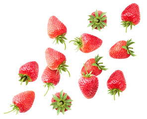 Strawberry flies closeup on a white. Isolated