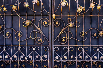 Refined forged decorative elements of a metal fence. Modern metal gate with forged grape fruits and...