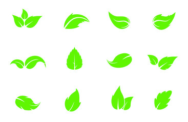 Collection of different types of leaves isolated on white. Vector illustration.