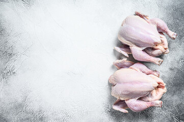 Whole raw Free range chicken. White background. Top view. Copy space