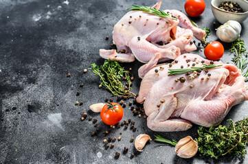 Organic farm raw whole chicken with herbs. Black background. Top view. Copy space