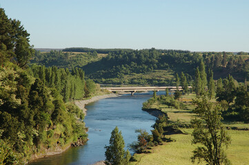 Paisaje naturaleza rio Mulchen  arboles nativos trigo ganado de vacuno