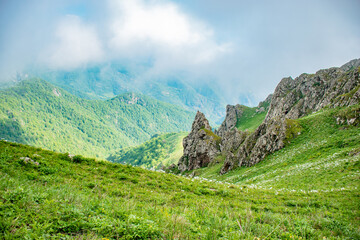 Obraz premium mountain landscape with green grass