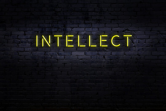 Neon sign. Word intellect against brick wall. Night view