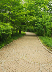 Stone Pathway in the Green Park