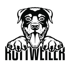 Rottweiler Peeking Logo Face Dog. Breed Famous Dog. Cut Vector File. Symbol Illustration Design.