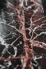 Burgundy marble with white streaks for background.