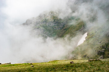 fog in the mountains