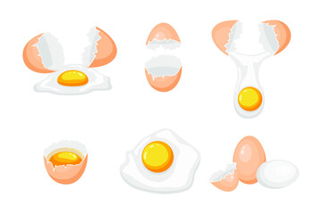 Collection of differetn types of eggs isolated on white. Vector illustration.