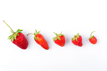 sweet strawberries. strawberries close-up. 
