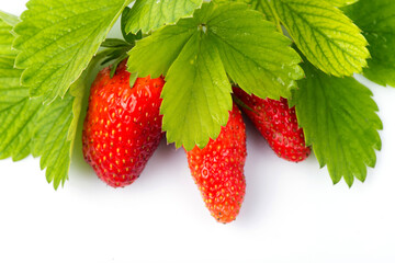 sweet strawberries. strawberries close-up. 