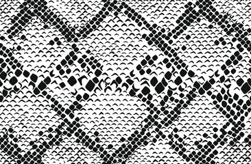 Snake skin seamless pattern. Vector illustration.