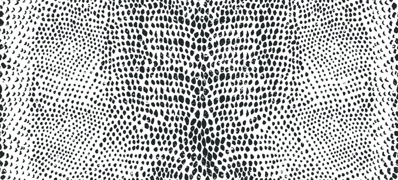 Snake skin seamless pattern. Vector illustration.