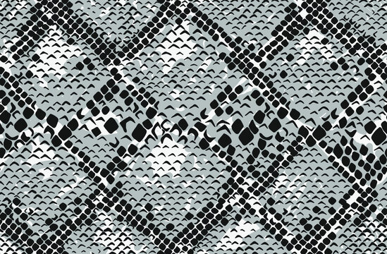 Snake skin seamless pattern. Vector illustration.