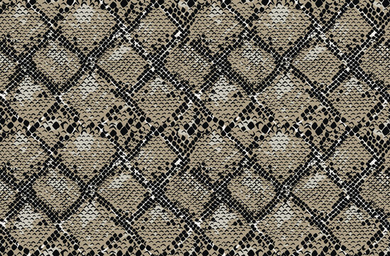 Snake skin seamless pattern. Vector illustration.