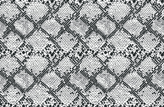 Snake skin seamless pattern. Vector illustration.