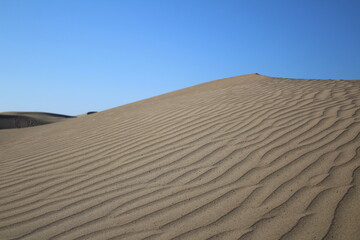 Naklejka premium Dunes of Maspalomas in Gran Canaria island