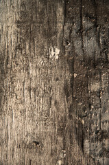 Obraz premium old wooden board, background