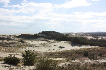 landscape with mountains