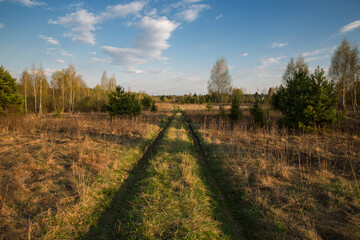 Fototapeta na wymiar The road into the field, countryside. Spring, bright day