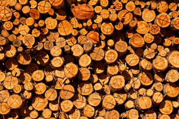 several eucalyptus logs stacked drying in the sun for use in wood ovens