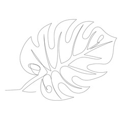  white background, palm leaf continuous line drawing, sketch