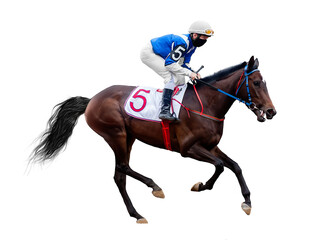horse racing jockey isolated on white background