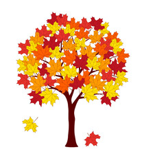 Colorful cartoon maple tree with autumn leaves
