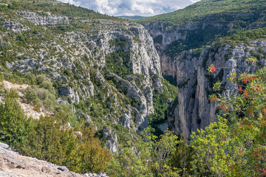 Rhagade Bilder Durchsuchen 31 Archivfotos, und Videos