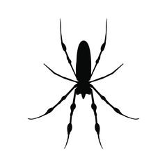 black spider icon- vector illustration. black silhouette spider icon isolated on white background. Element design for Halloween, postcard, app, poster.