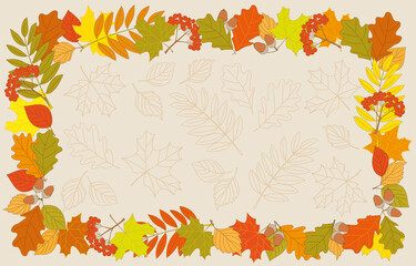 Colorful autumn foliage frame and contour drawing leaves