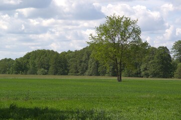 Obraz premium nature_011