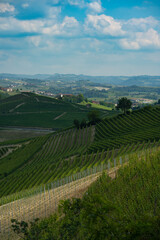 Langhe vineyards panorama, Unesco Site, Piedmont, Northern Italy Europe.