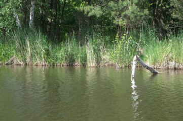 nature_029