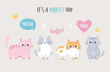 Obraz na płótnie Canvas cute kittens with lettering cartoon animal funny character