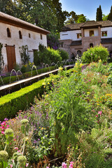 garden in the old town