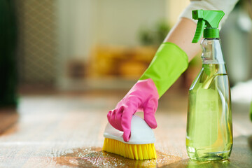 modern woman with cleaning agent and brush clean floor