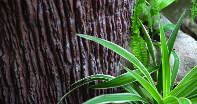natural green treen stone environment 