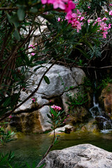 Naklejka premium Fotografía de la Naturaleza. Foto con fauna y agua 